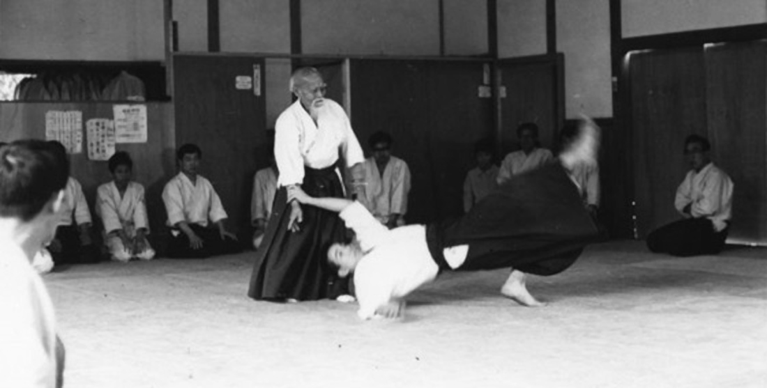 Martial Arts self-defense movement being performed