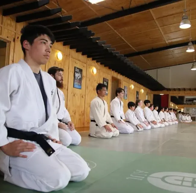 Aikido Martial Arts for teenagers