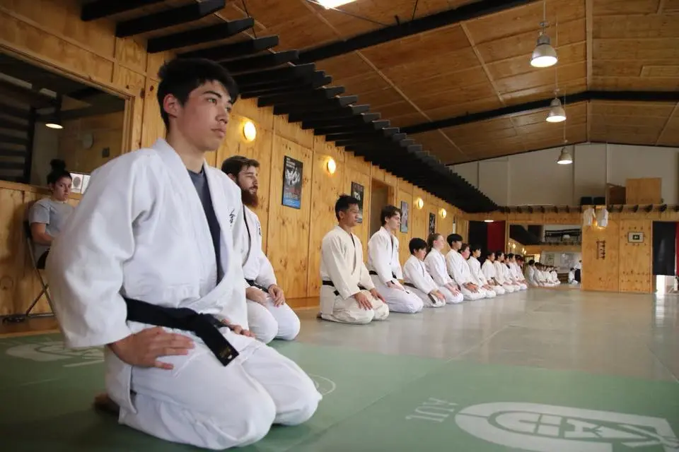 Aikido Martial Arts for teenagers