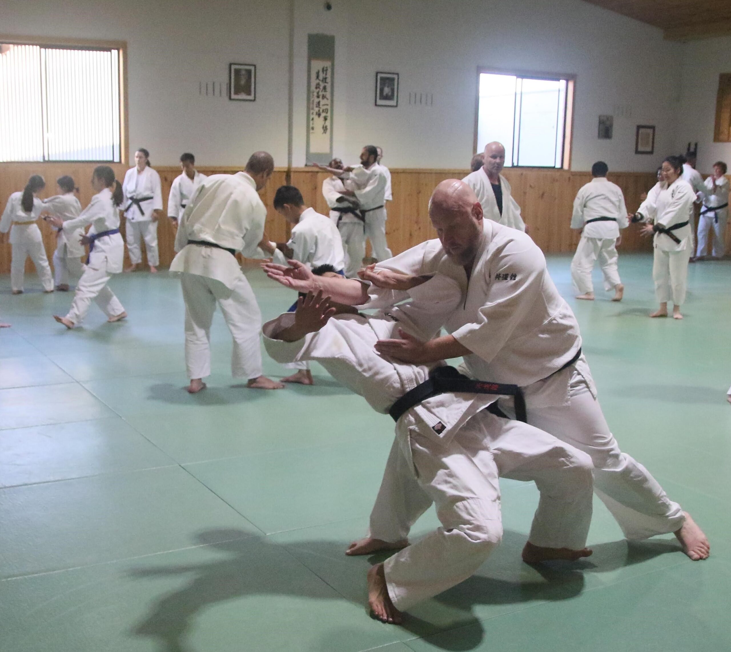 Aikido Martial Arts for adults