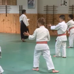 image for article 23july parenting and aikido